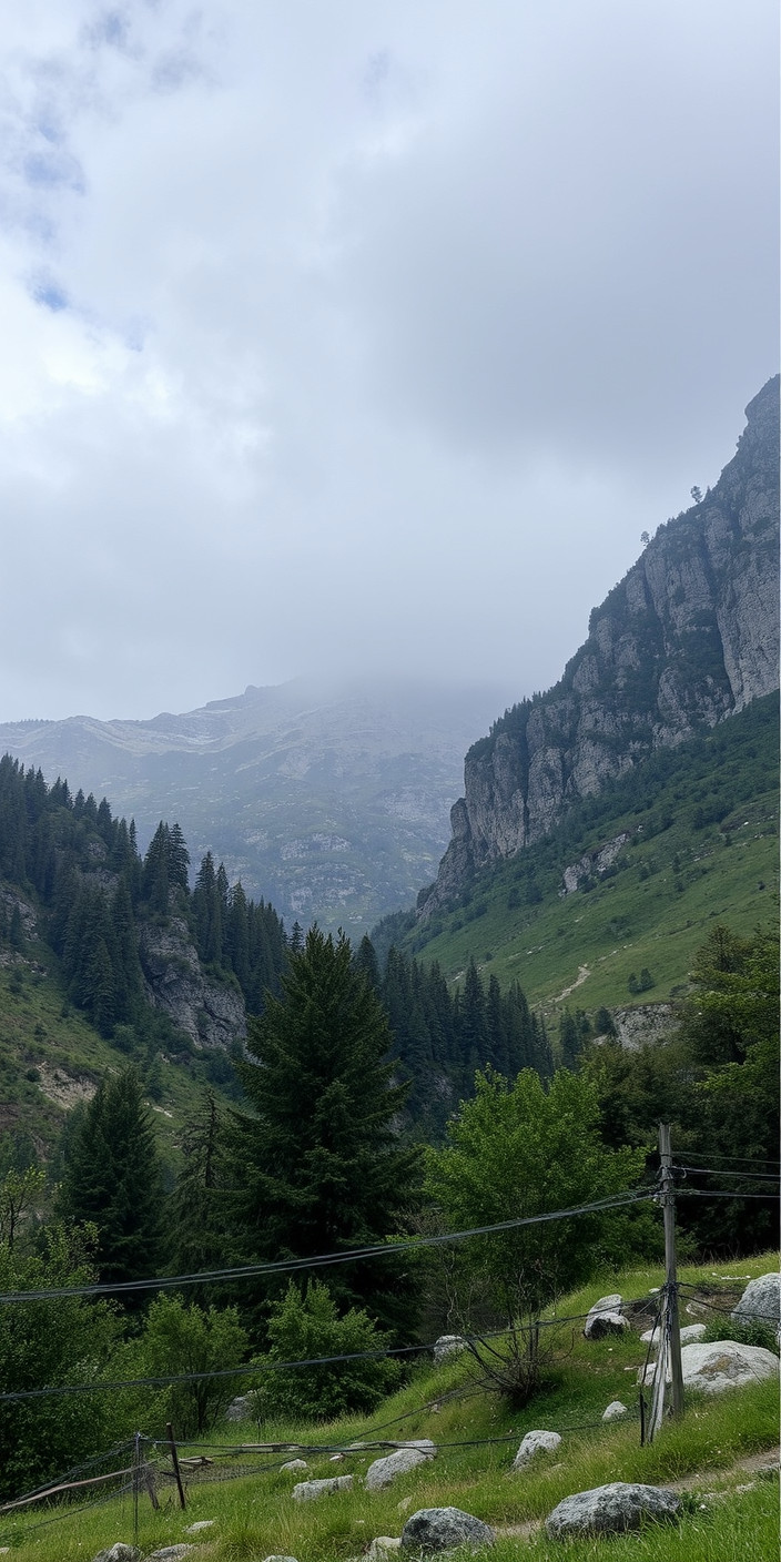 I x 4 Phone Wallpaper