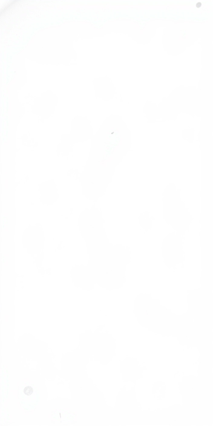 White background 4 Phone Wallpaper