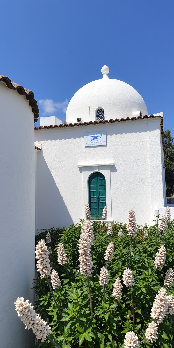 White 5 Phone Wallpaper