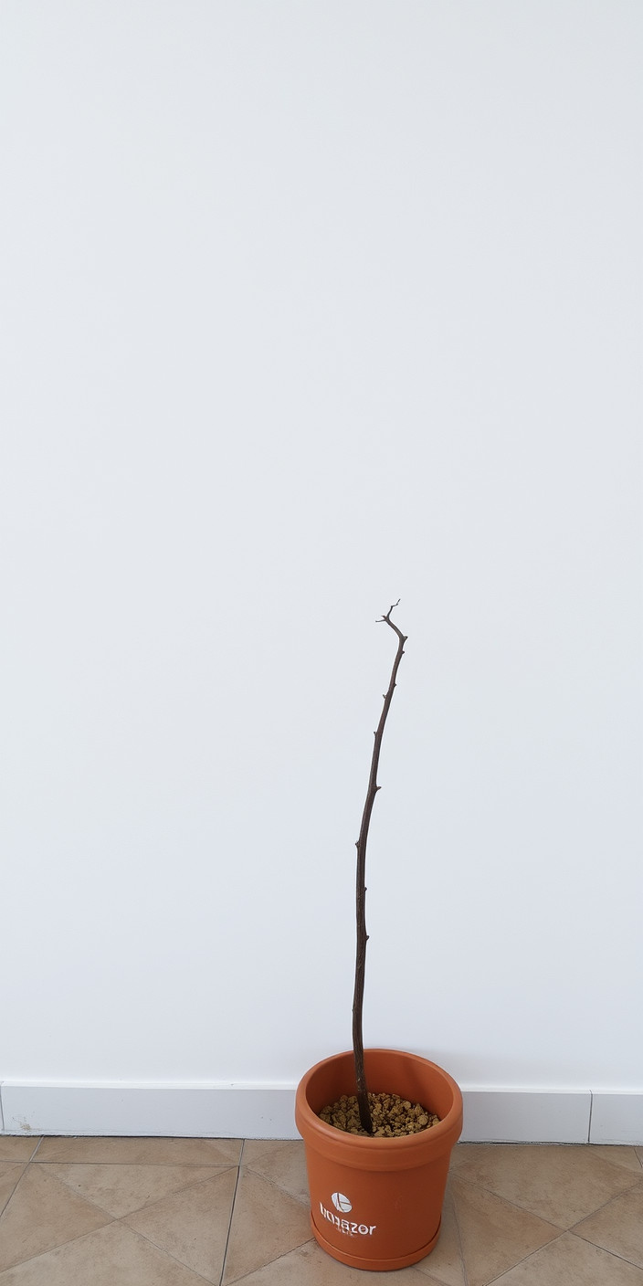 Plain white 3 Phone Wallpaper