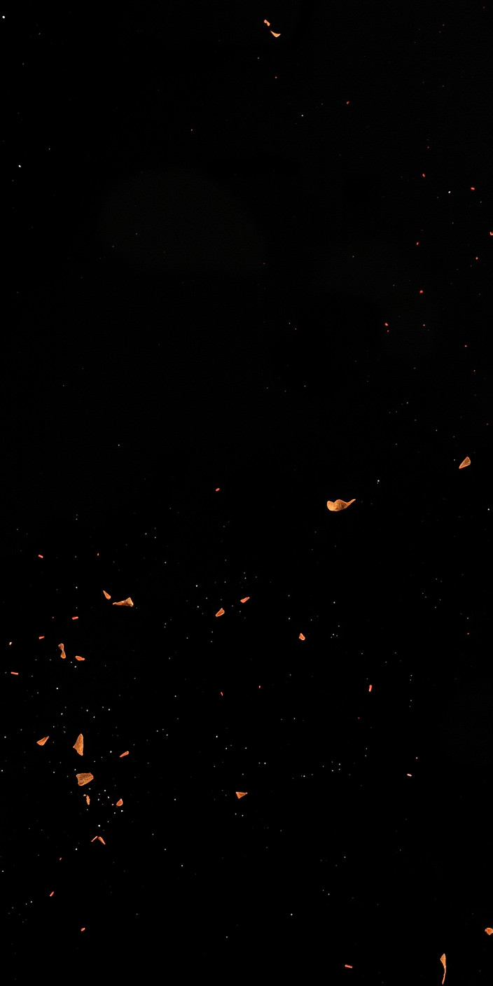 Jordan 2 Phone Wallpaper
