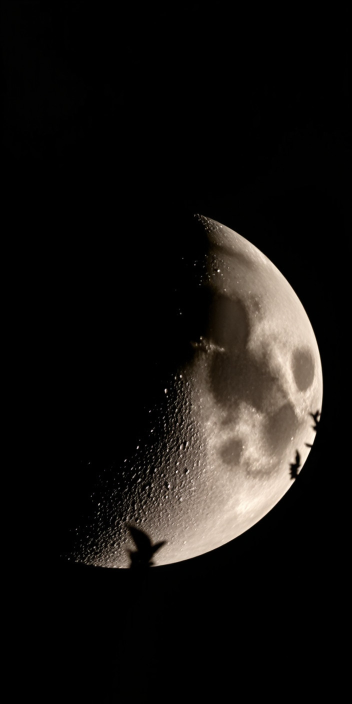 Moon 7 Phone Wallpaper