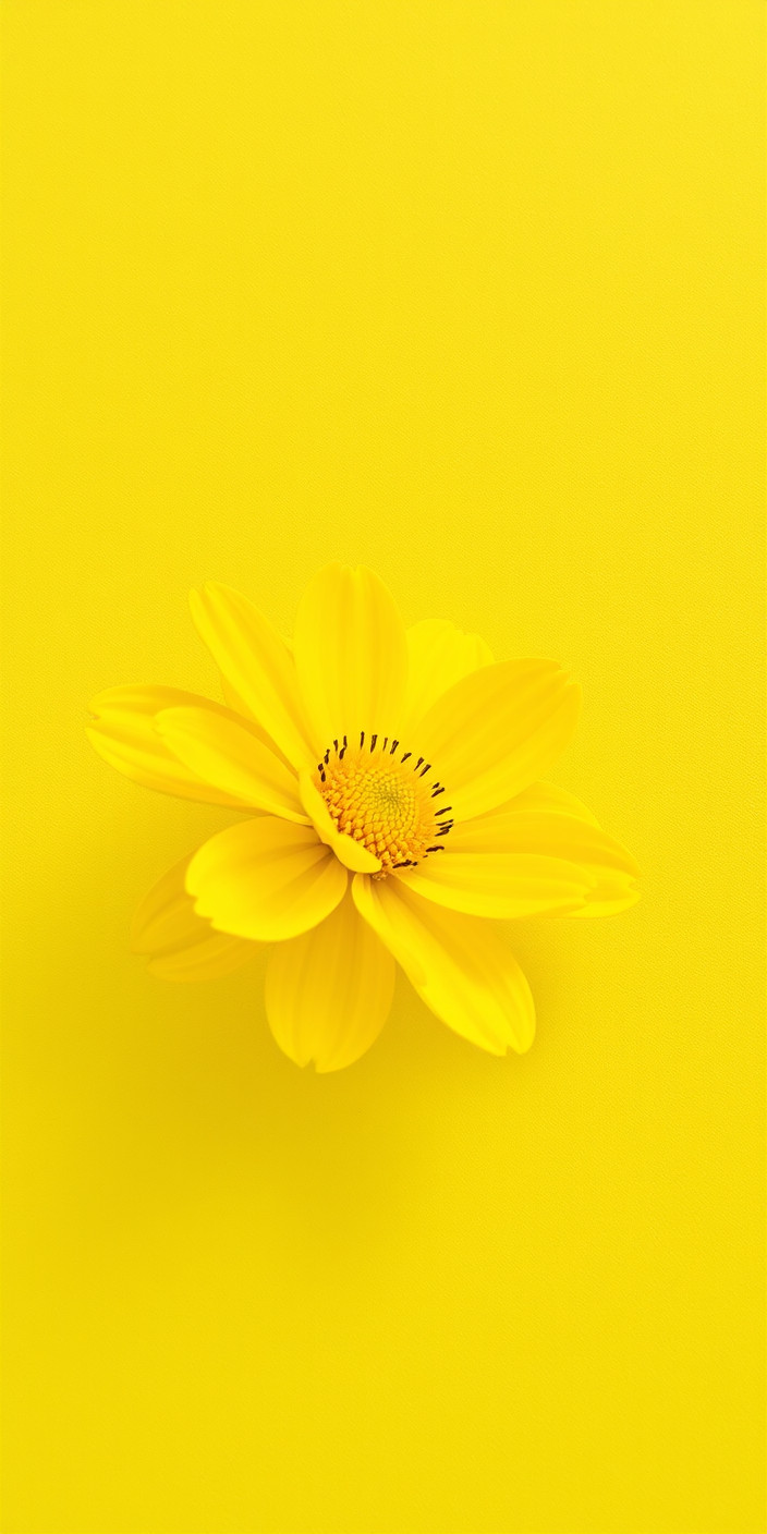 Yellow flower 2 Phone Wallpaper