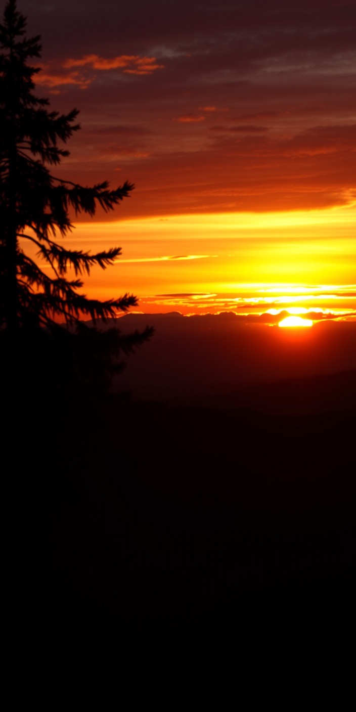 Sunset 4 Phone Wallpaper