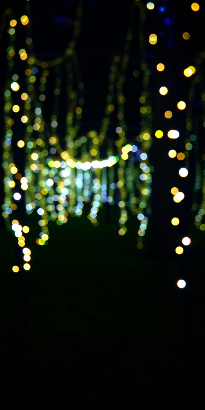 Fairy lights 4 Phone Wallpaper