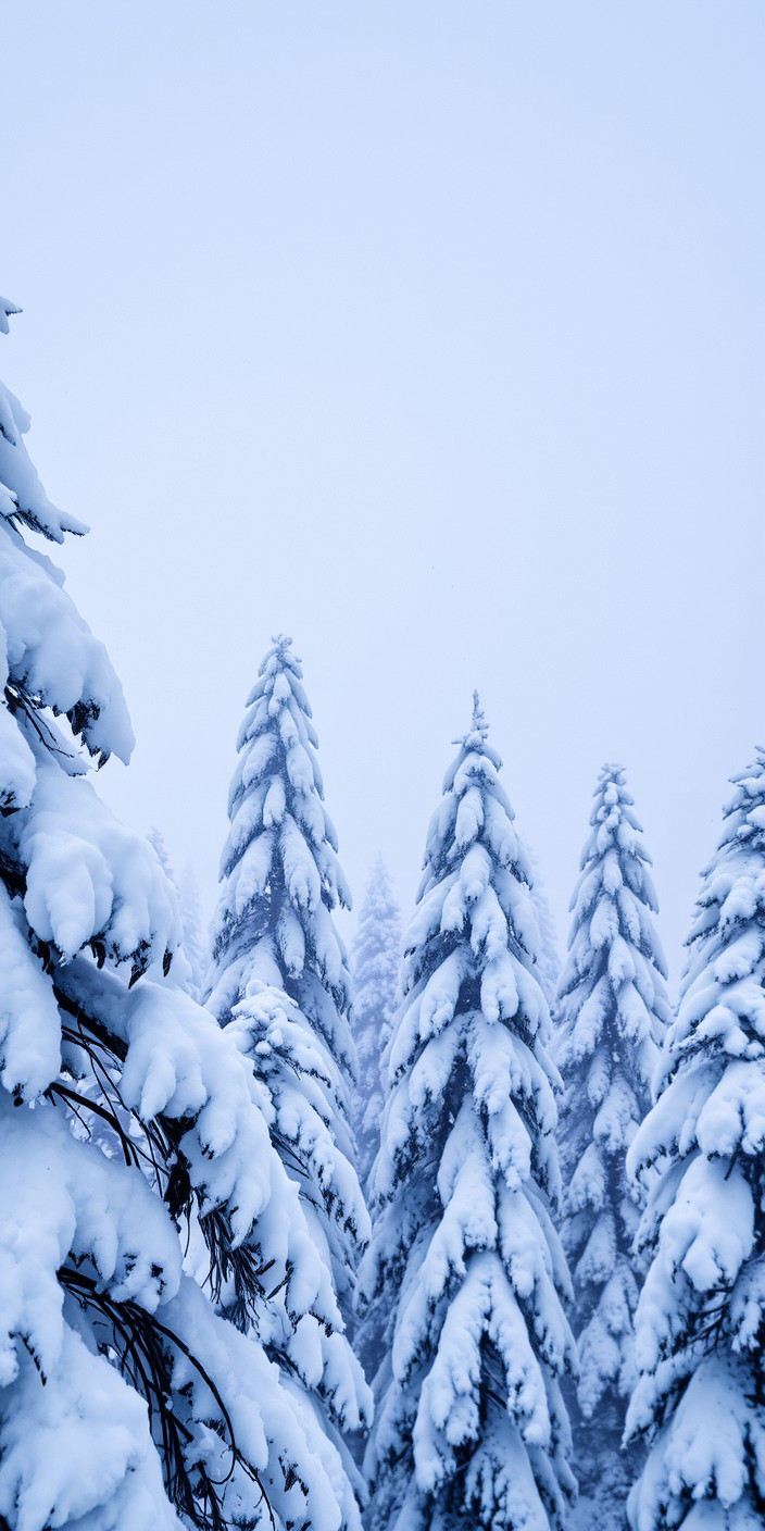 Snow 6 Phone Wallpaper