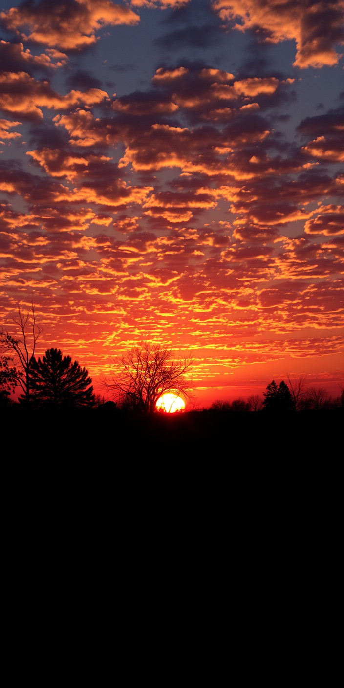 Sunset 7 Phone Wallpaper