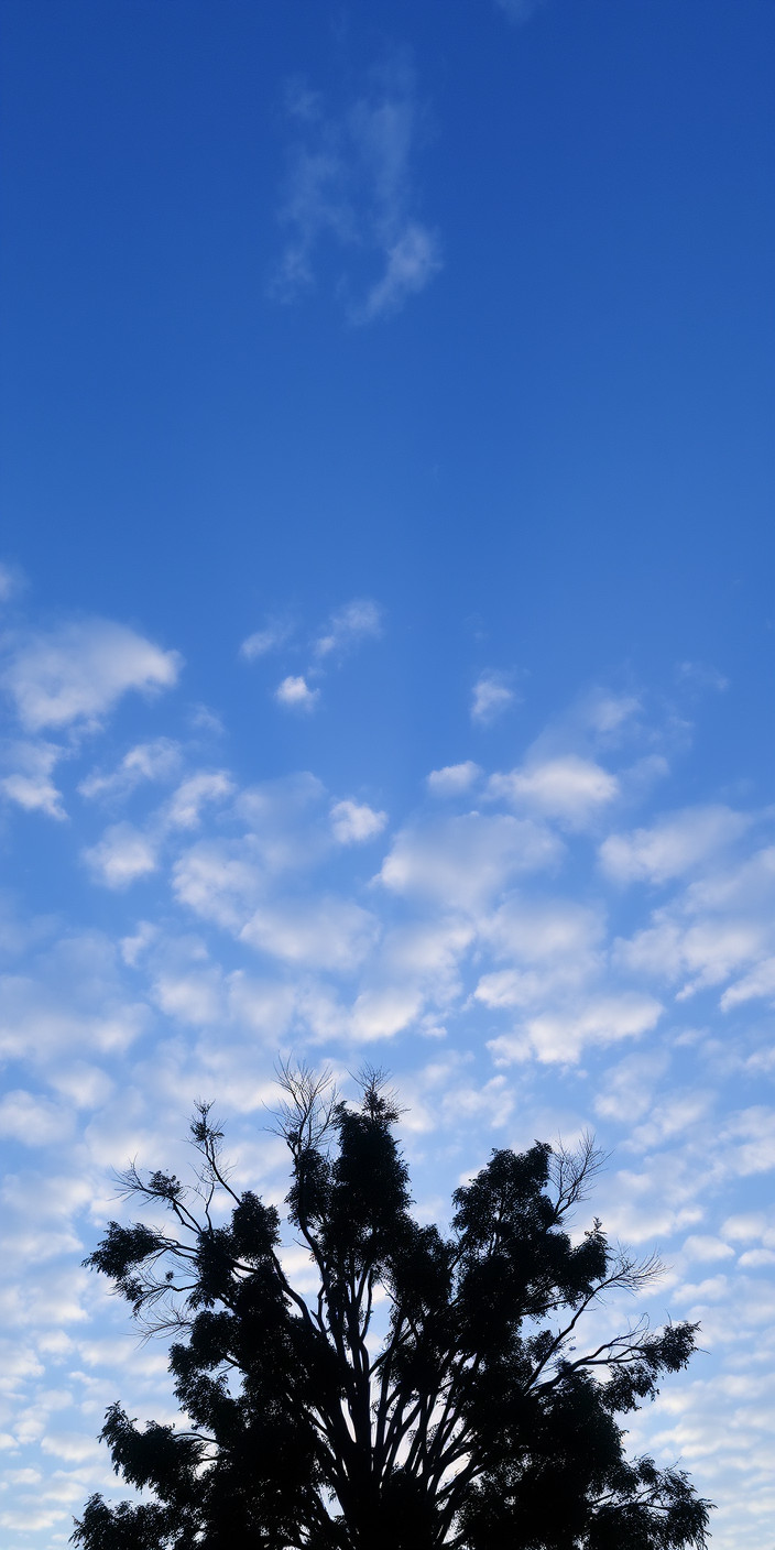 Sky 11 Phone Wallpaper